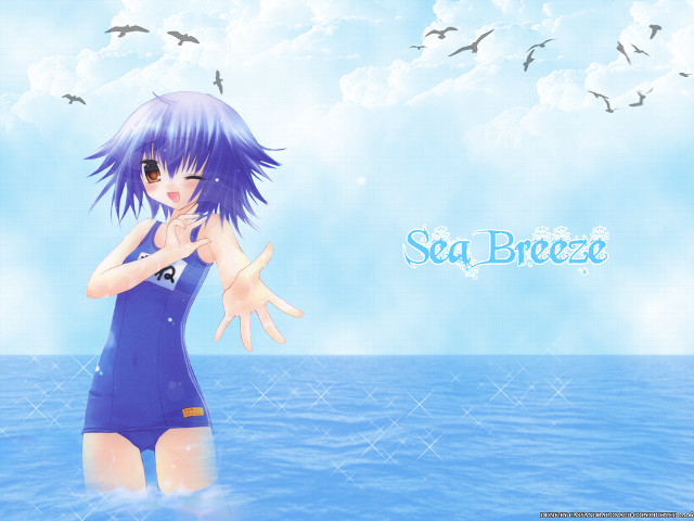 Girl blue swimsuit water birds free wallpaper - medium preview image