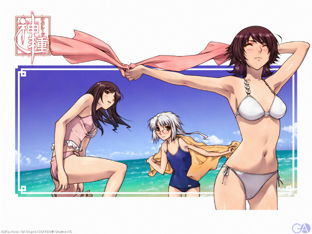 Beach bikini 3girls scarf ocean free wallpaper - medium preview image