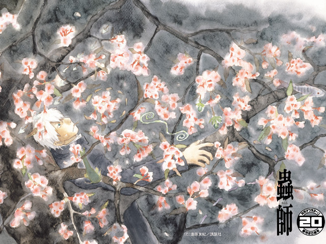 Man sitting on branch cherry free wallpaper - medium preview image