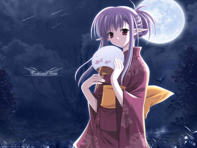 Kimono fan fullmoon night sky free wallpaper - medium preview image