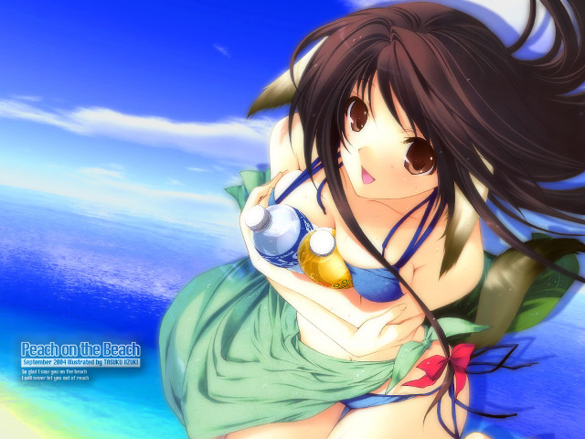Green dress woman bottle beach free wallpaper - medium preview image