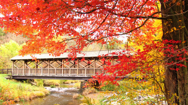 Covered bridge fall leaves forest free wallpaper - medium preview image