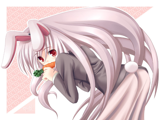 White haired rabbit girl carrot free wallpaper - medium preview image