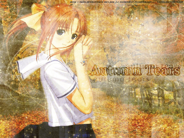 Girl forest autumn blueeyes ponytail free wallpaper - medium preview image