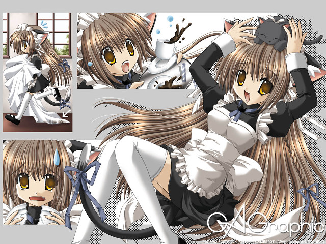 Girl cat maid anime brown free wallpaper - medium preview image