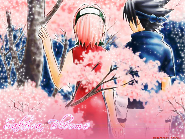 Spring bloom pink flower tree free wallpaper - medium preview image