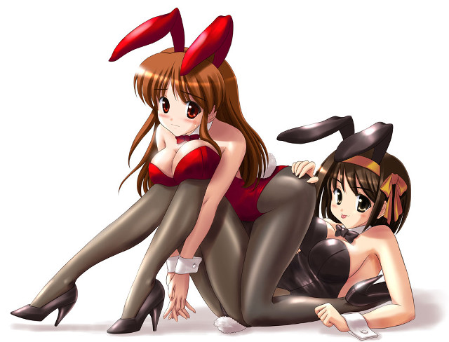 Anime girls bunny ears furry free wallpaper - medium preview image