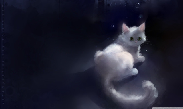 White cat black background water free wallpaper - medium preview image