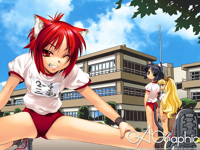Anime girls building furry cats free wallpaper - medium preview image