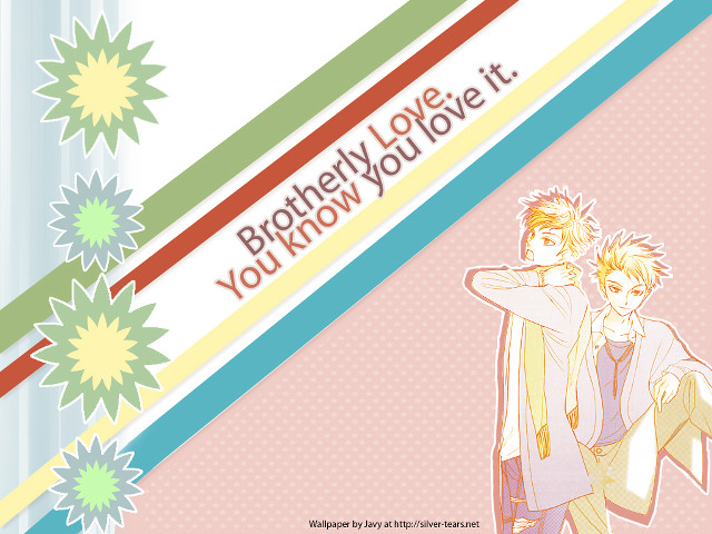 Couple pink background banner flowers free wallpaper - medium preview image