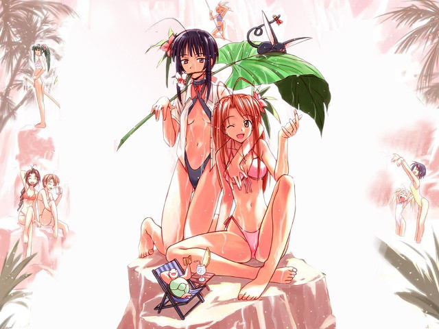 Two women bikinis rock plant free wallpaper - medium preview image