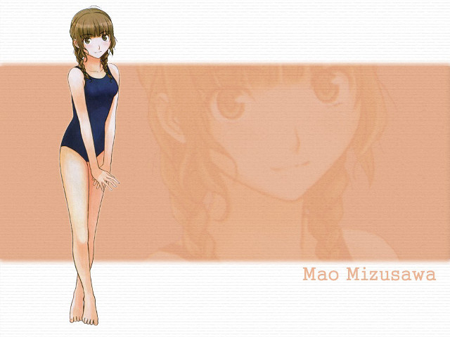 Girl swimsuit smile brownhair braided free wallpaper for desktop - medium preview image