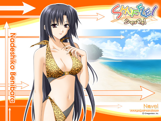 Beach sunset woman bikini ocean free wallpaper - medium preview image