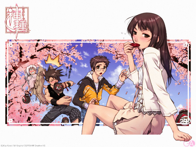 Girl bench cherry blossoms spring free wallpaper - medium preview image
