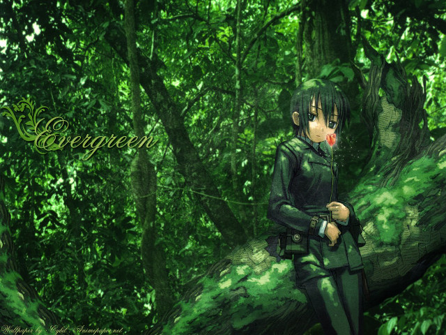 Green girl forest flower bamboo free wallpaper - medium preview image