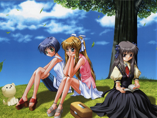 Anime girls sitting grass suitcase free wallpaper - medium preview image