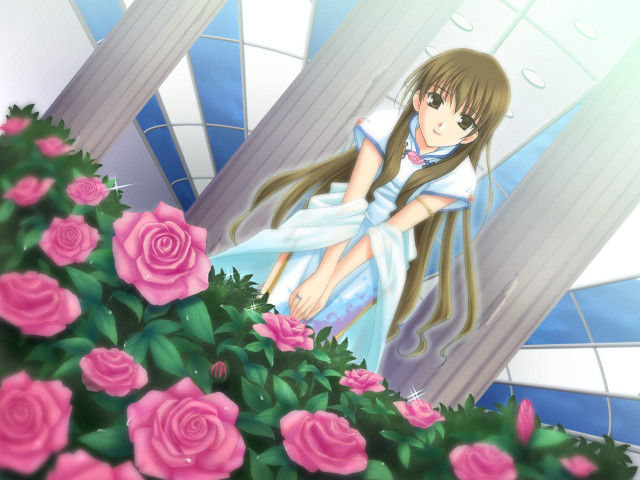 Girl ledge roses building blue free wallpaper - medium preview image