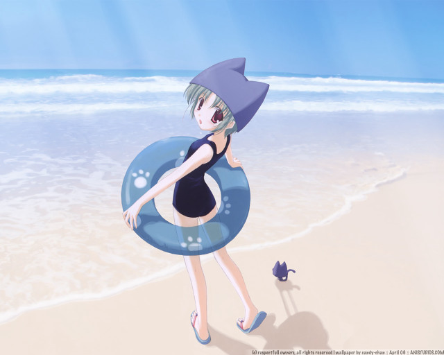 Woman beach summer innertube fish free wallpaper - medium preview image