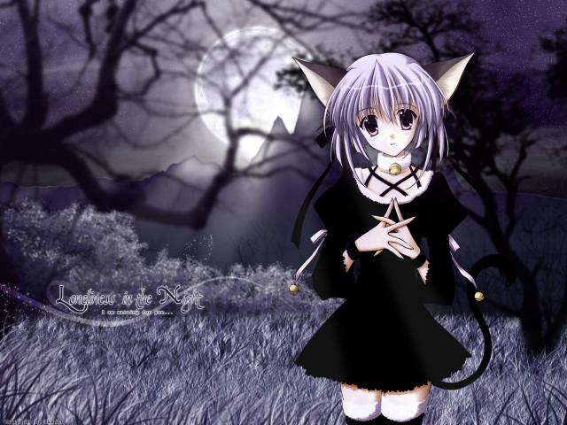Anime girl black dress cat #2 free wallpaper - medium preview image