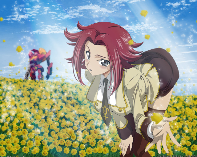 Girl flower field anime kallen free wallpaper - medium preview image