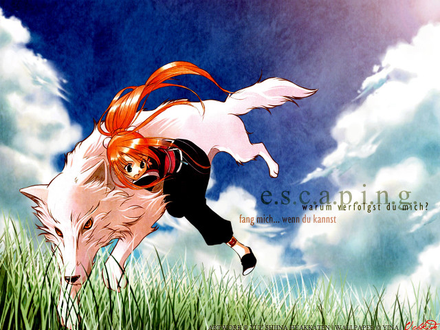 Girl wolf grass sky orange free wallpaper - medium preview image
