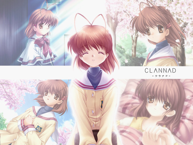 Anime characters cherry blossoms cat free wallpaper - medium preview image