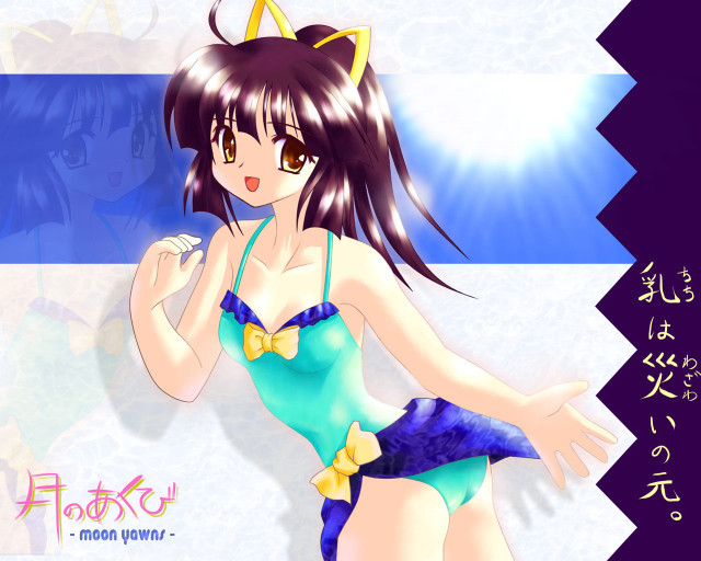 Girl cat eared bikini smile free wallpaper - medium preview image