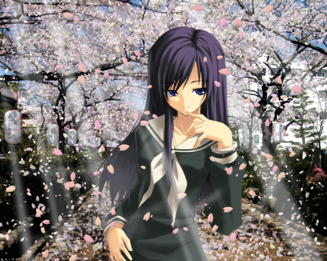 Woman black dress cherry blossoms free wallpaper - medium preview image