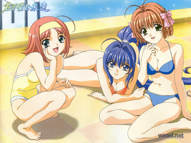 Three anime girls beach bikini free wallpaper - medium preview image