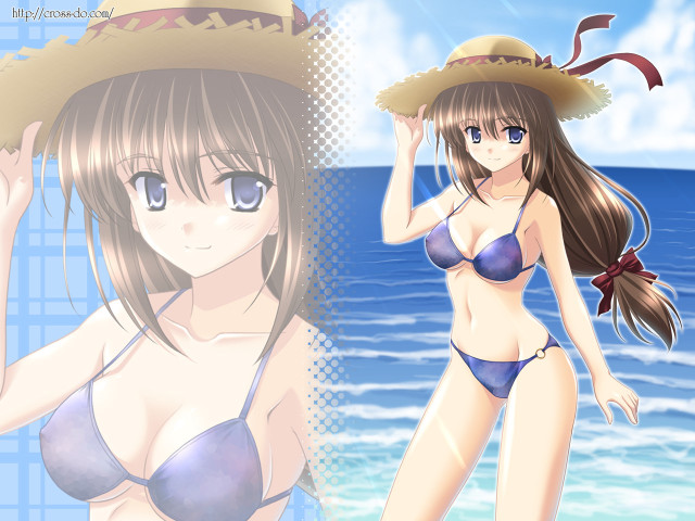 Beach woman bikini hat ocean free wallpaper - medium preview image