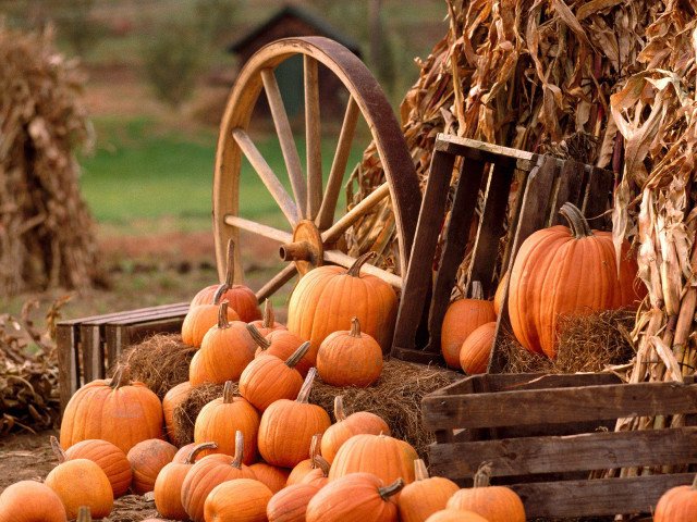 Pumpkins hay wagon autumn folk free wallpaper - medium preview image