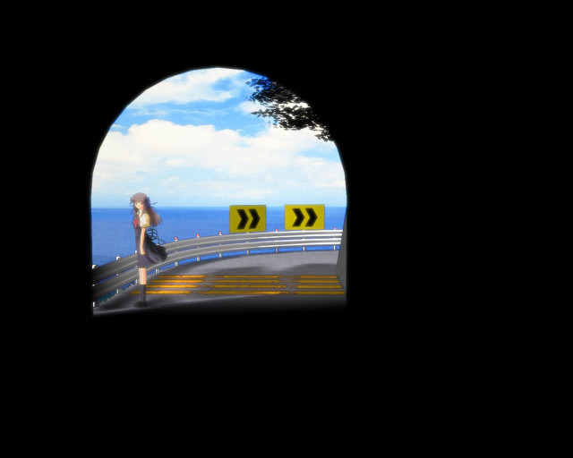 Woman bridge water caution sign free wallpaper - medium preview image
