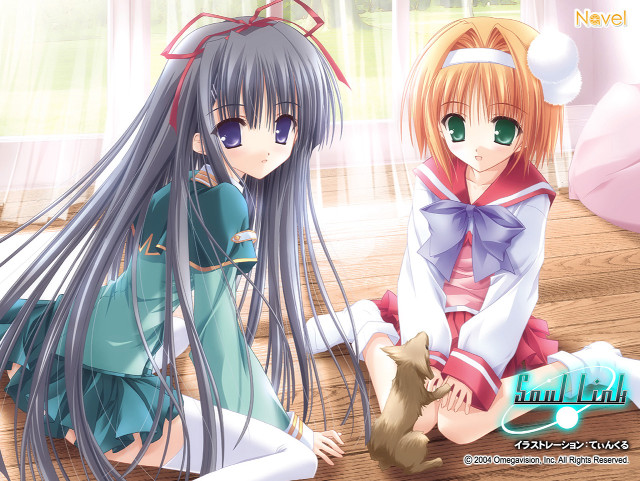 Anime girls cat sitting school free wallpaper - medium preview image