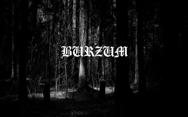 Black white forest bakrach photo free wallpaper - medium preview image
