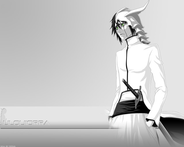 Arrancar solo sword white shirt free wallpaper - medium preview image