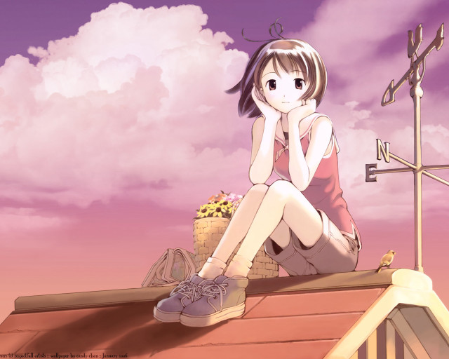 Girl roof flower basket anime free wallpaper - medium preview image