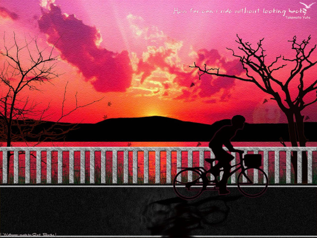 Bridge sunset bicycle pink sky free wallpaper - medium preview image
