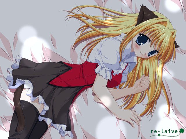 Girl cat ears blowing wind free wallpaper - medium preview image