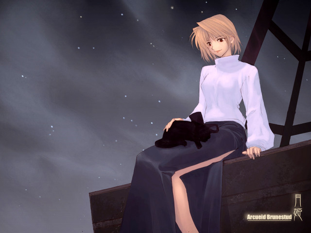 Woman cat night sky stars free wallpaper - medium preview image
