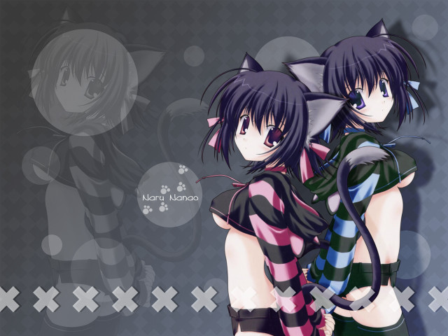 Anime girls hugging cat gothic free wallpaper - medium preview image