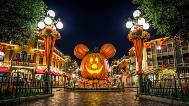 Mickey mouse pumpkin carved night free wallpaper - medium preview image