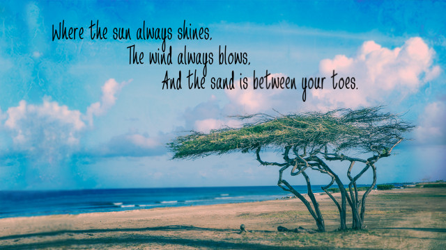 Tree beach sun quote jigsaw free wallpaper - medium preview image