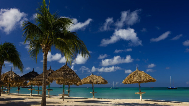 Beach palm trees umbrellas sand free wallpaper - medium preview image