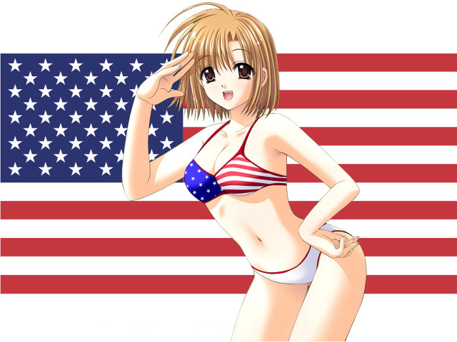 American flag bikini woman star free wallpaper - medium preview image