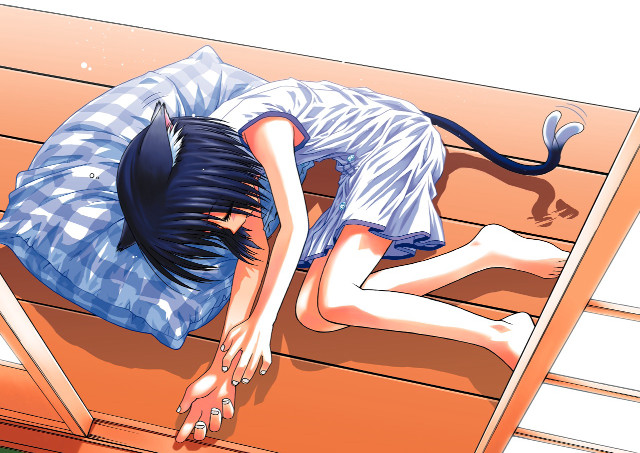 Furry anime cat bench sleeping free wallpaper - medium preview image