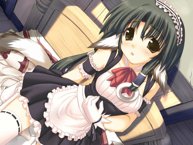 Maid coffee cat eizan kikukawa free wallpaper - medium preview image