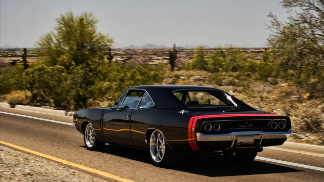 Black car forest road sunny free wallpaper - medium preview image