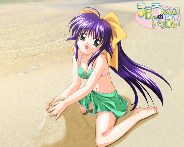 Girl beach bikini pony tail free wallpaper - medium preview image