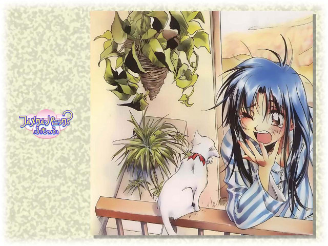 Blue hair girl cat bench free wallpaper - medium preview image