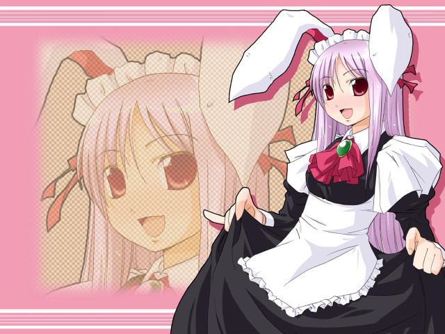 Pink bunny costume white rabbit free wallpaper - medium preview image